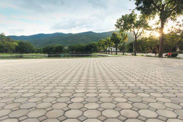 Best Decorative Driveway Pavers  in Chittenango, NY